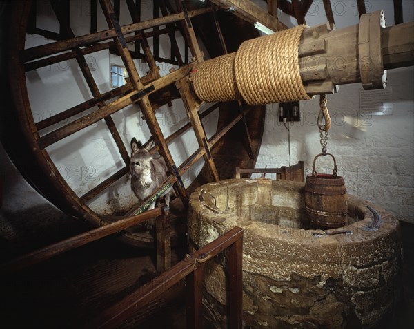 Well house treadwheel, donkey and winding mechanism, Carisbrooke Castle, Isle of Wight