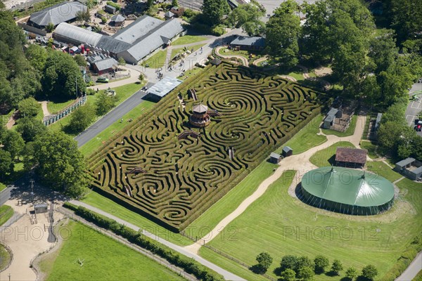 Maze, Longleat, Wiltshire, 2015