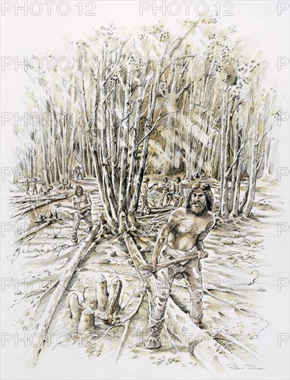 Uses of flint- coppicing, Prehistoric, (c1990-2010)