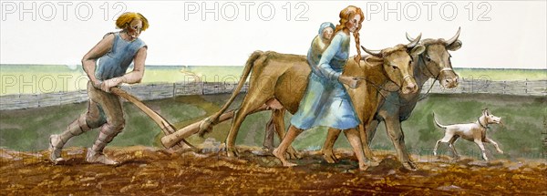 Ploughing, Iron Age, (c1990-2010)