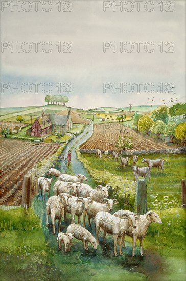 Rural landscape, c2010