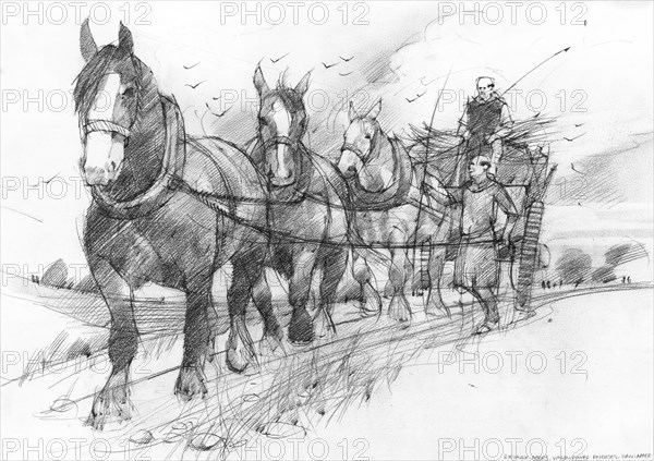 Heavy horses pulling a haycart or goods wagon driven by two Cistercian monks