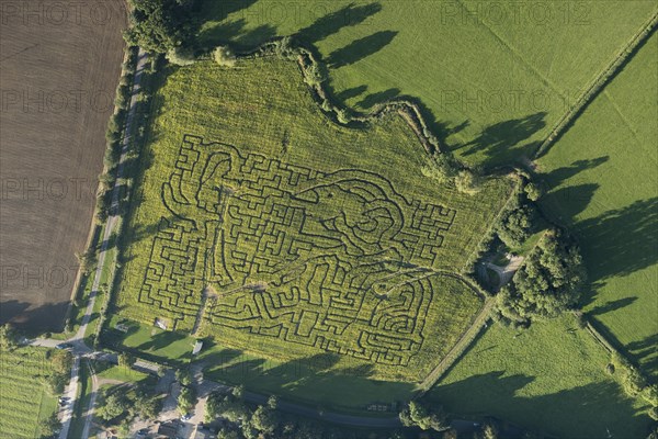 Wistow Maize Maze, Leicestershire, 2016