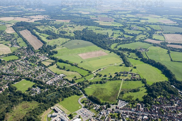 Cowdray Park, West Sussex, c2015