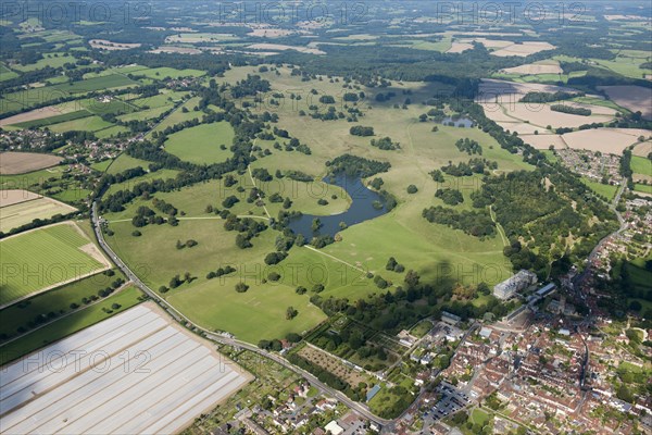 Petworth Park, West Sussex, c2015