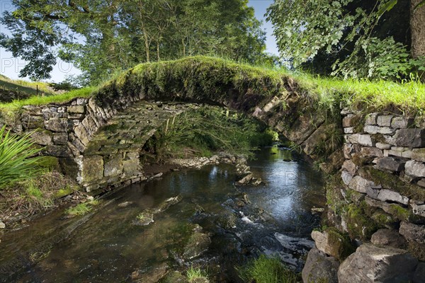 Medieval packhorse bridge, Fawcett Mill Fields, Gaisgill, Tebay, Cumbria, c2016