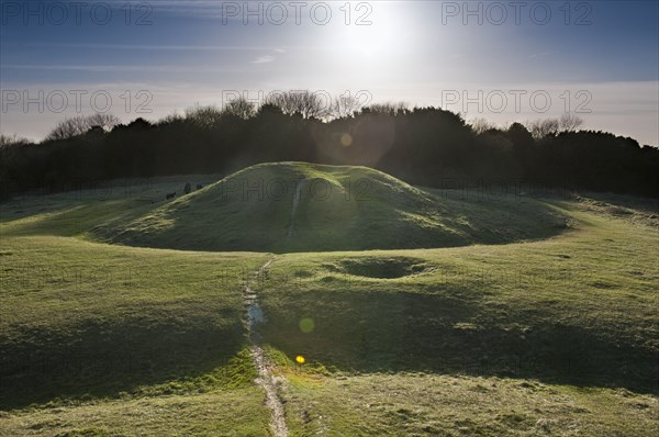 Devil's Humps, Kingley Vale Nature Reserve, near Stoughton, West Sussex, 2011