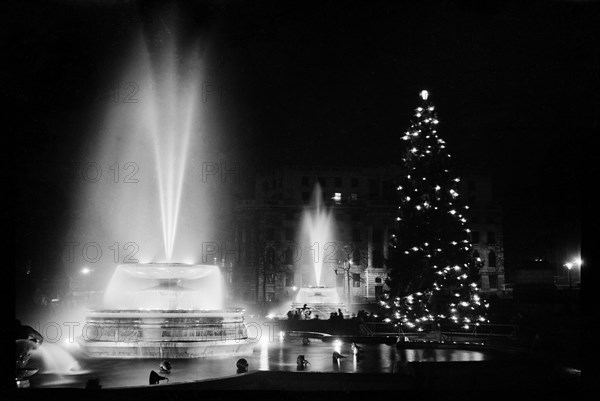 Fountains and the Christmas tree in Trafalgar Square, London, December 1948