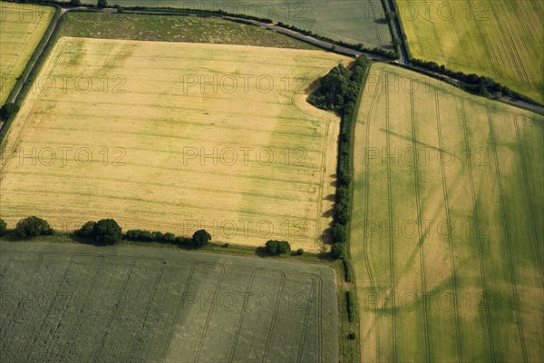 Roman camp, Bradford Abbas, Dorset, 2010