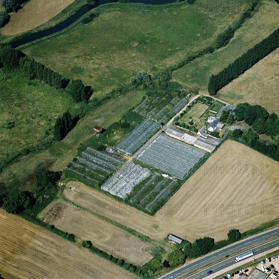 Market garden near Sandy, Bedfordshire, 2005