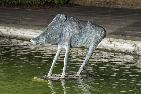 Boar', the Water Gardens, Harlow, Essex, 2015