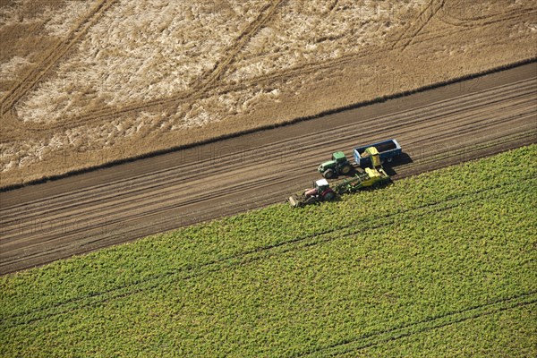 Harvesting, Glinton, Peterborough, Cambridgeshire, c2010s(?)