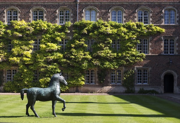 Bronze horse, sculpture by Barry Flanagan, Jesus College, Cambridge, Cambridgeshire, 2015