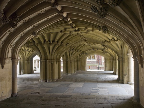 Vaulted undercroft below the chapel, Lincoln's Inn, Holborn, Camden, London, 2011