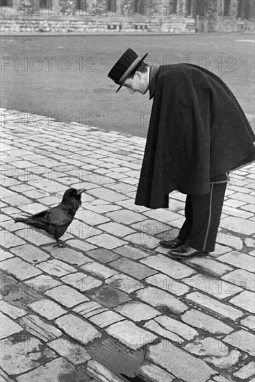 Beefeater bending down to address a raven, Tower of London, Tower Hill, London, late 1930s