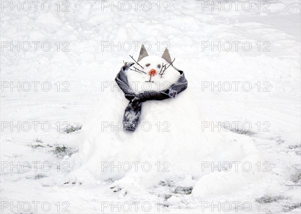 Snow scene with a 'snowcat' snowman, c2010