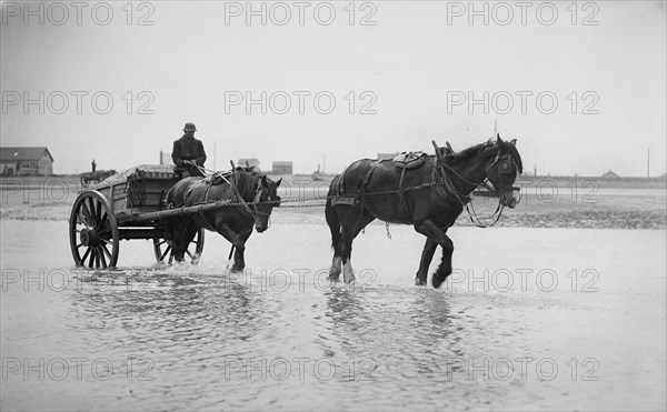 Shoreham harbour, Shoreham-by-Sea, West Sussex, 1905-1925