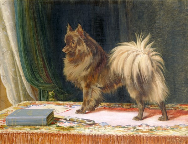 Portrait of Prairie Prince', 1897