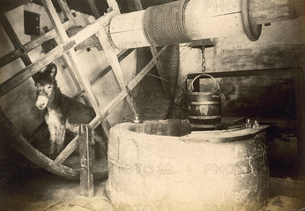 Donkey in the Well House, Carisbrooke Castle, Isle of Wight, c1850-c1900