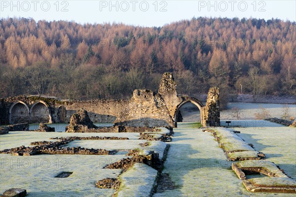 Kirkham Priory, North Yorkshire, c1980-c2017