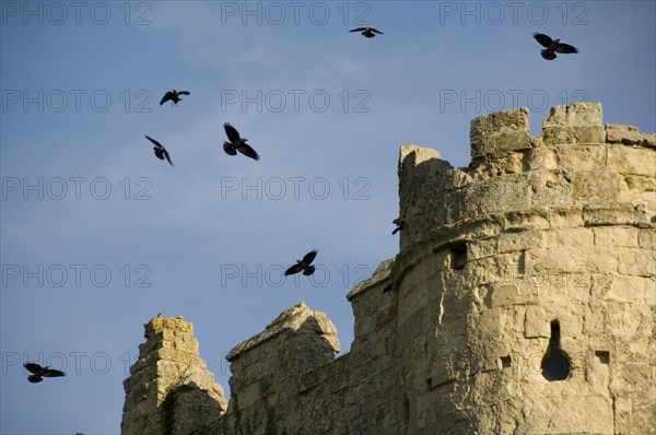 Carisbrooke Castle, Isle of Wight, c1980-c2017