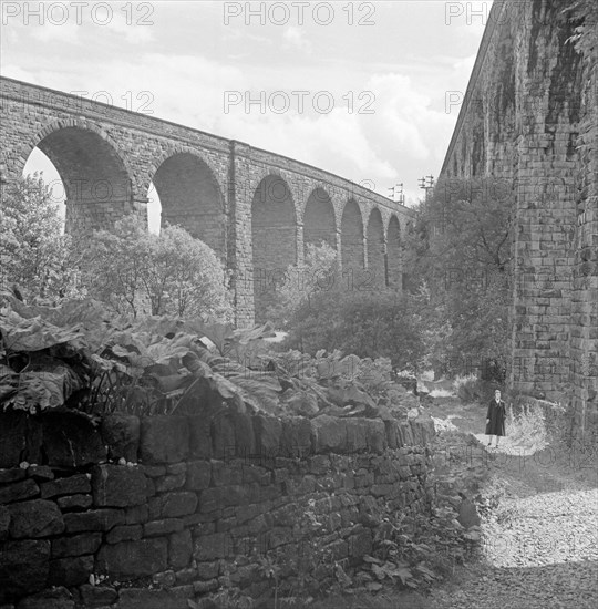 Railway viaducts, Chapel Milton, Chapel-en-le-Frith, Derbyshire, 1954