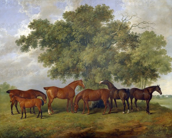 The Theobald Stud', 1825