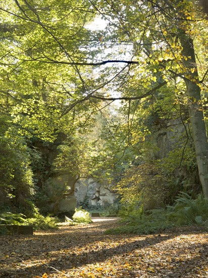 Quarry Garden at Belsay Hall in autumn, Northumberland, c1980-c2017