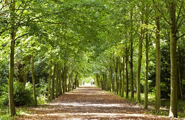 Wrest Park House and Gardens, Silsoe, Bedfordshire, c1980-c2017