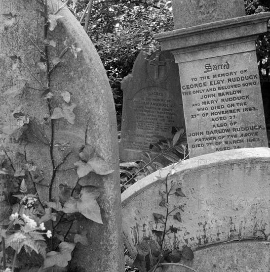 Gravestones, Highgate Cemetery, Hampstead, London, 1987