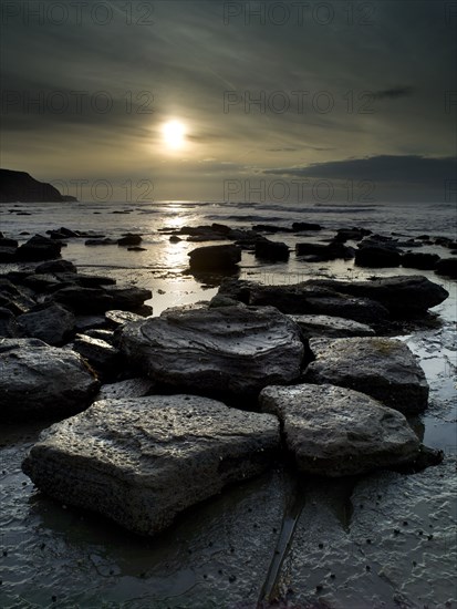 Coast at Staithes, North Yorkshire, 2008