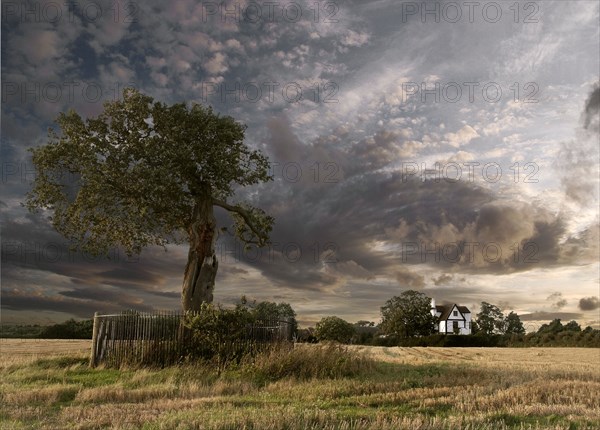 Royal Oak and Boscobel House, Shropshire, 2008