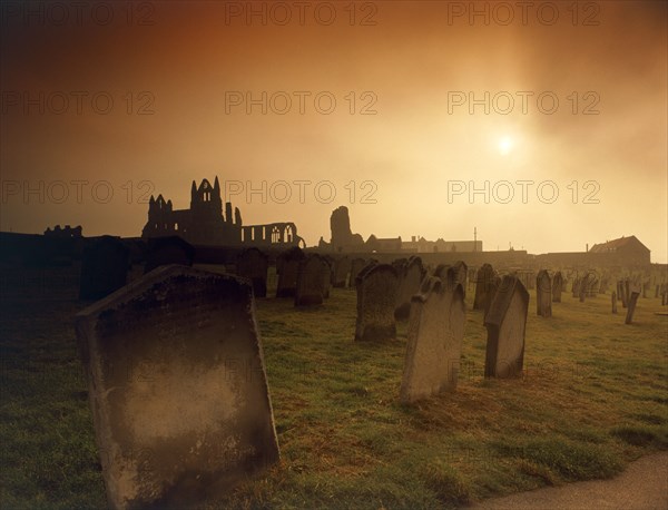 Whitby Abbey, North Yorkshire, 2010