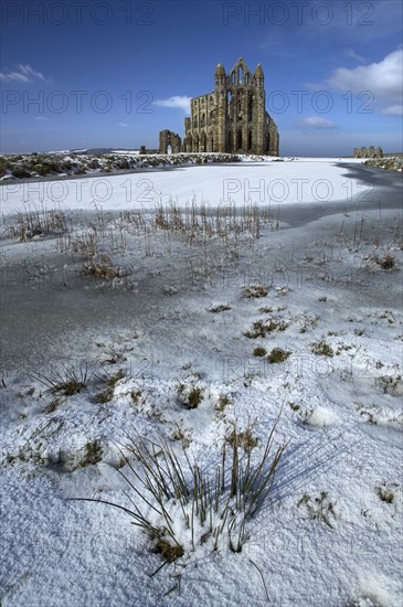 Whitby Abbey, North Yorkshire, 2006