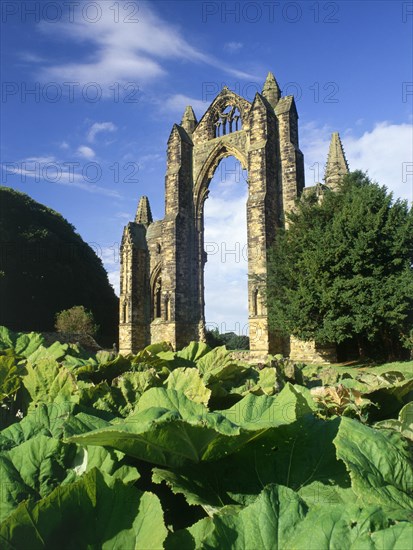 Gisborough Priory, Redcar and Cleveland, 2010