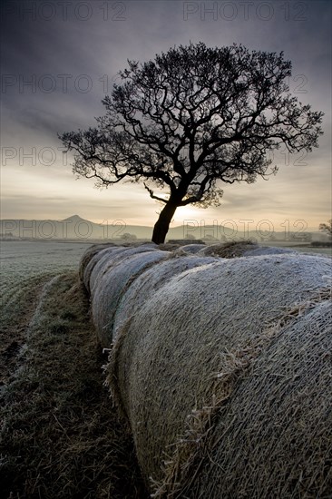 Morton Carr and Roseberry Topping, North Yorkshire, 2008