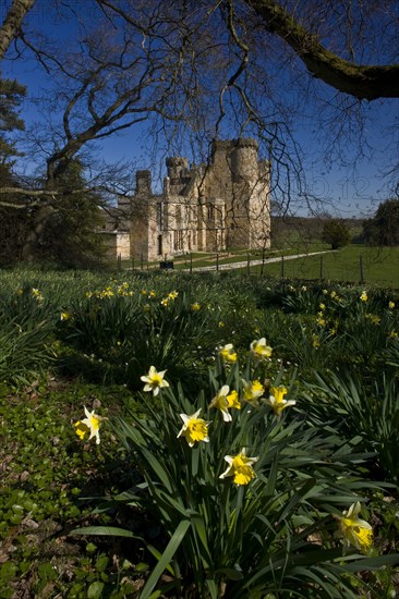 Belsay Castle, Northumberland, 2009