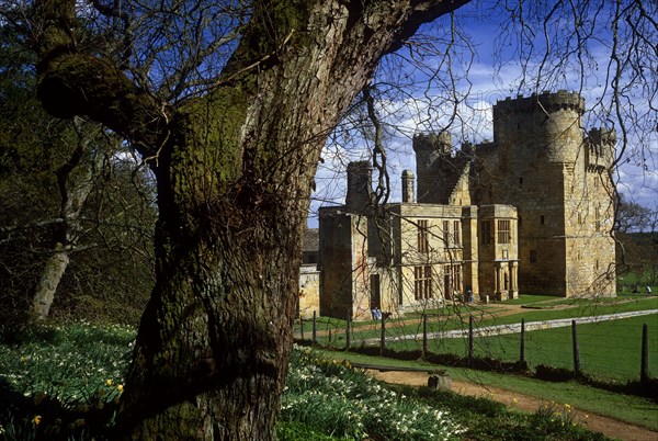 Belsay Castle, Northumberland, 2009