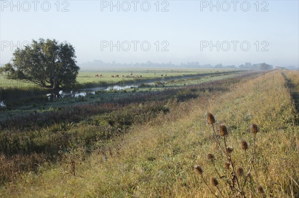 Welches Dam, Byall Fen, Cambridgeshire, c2010-c2018