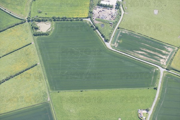 Double ditched enclosure cropmark, near Burgh le Marsh, Lincolnshire, 2015