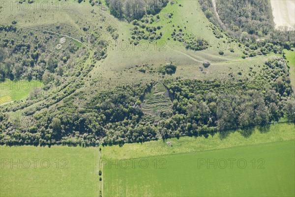 Chalk military badges near Sutton Down, Wiltshire, 2015