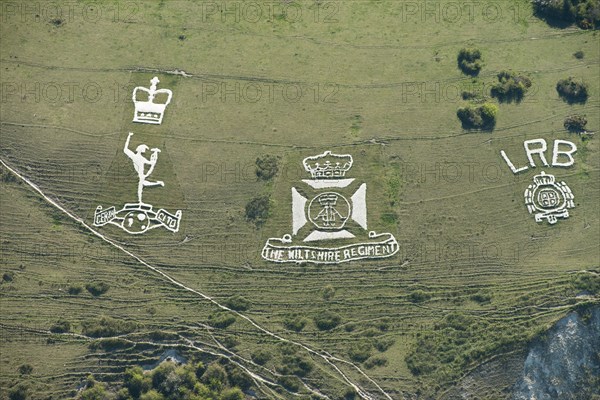 Chalk military badges, Fovant Down, Wiltshire, 2015