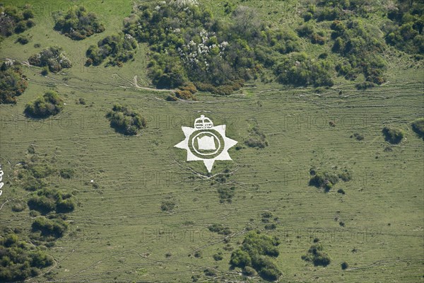 Chalk military badges, Fovant Down, Wiltshire, 2015