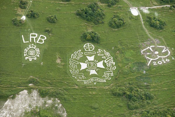 Chalk military badges, Fovant Down, Wiltshire, 2016