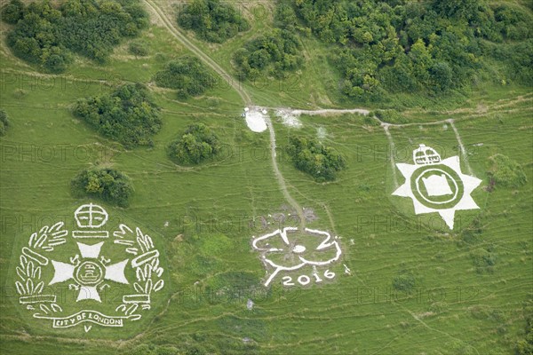 Chalk military badges, Fovant Down, Wiltshire, 2016