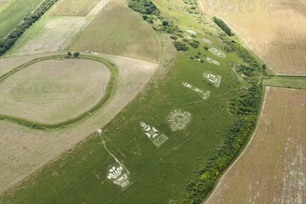 Chalk military badges and Chisenbury Camp univallate hillfort, Fovant Down, Wiltshire, 2015