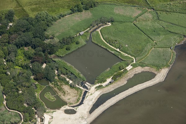 Decoy pond, Abbotsbury Swannery, Dorset, 2014