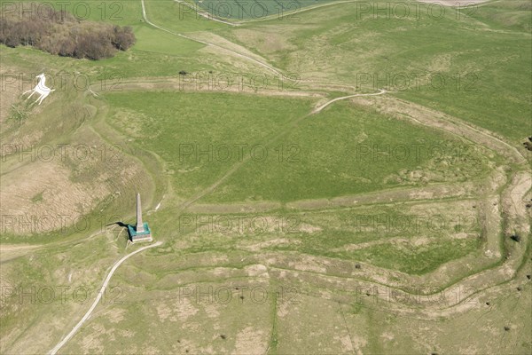 Cherhill Down, Wiltshire, 2018