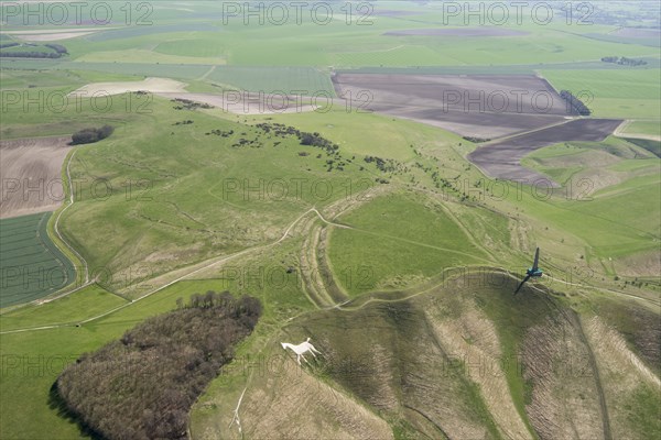 Cherhill Down, Wiltshire, 2018