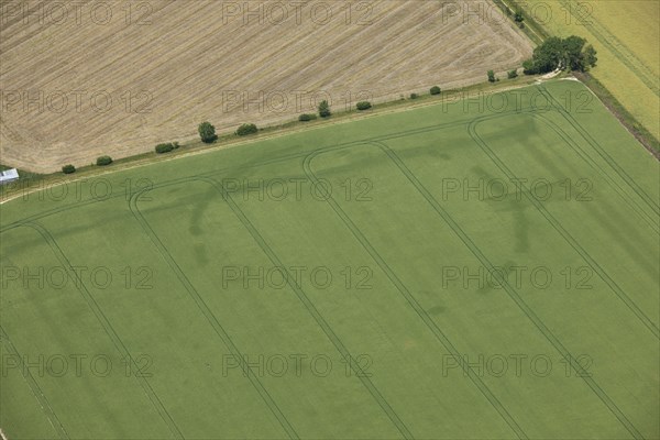 Later prehistoric circular causewayed enclosure or henge, near New Farm, Cambridgeshire, 2014